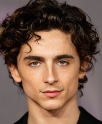 timothée-chalamet